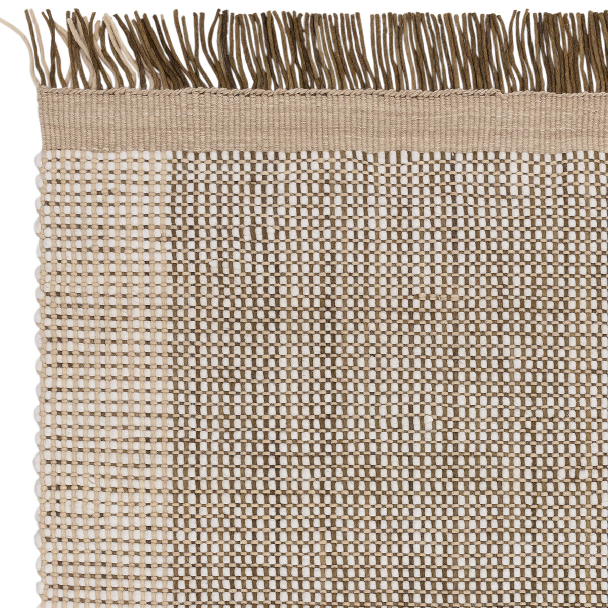 Asiatic Avalon Forest Rug